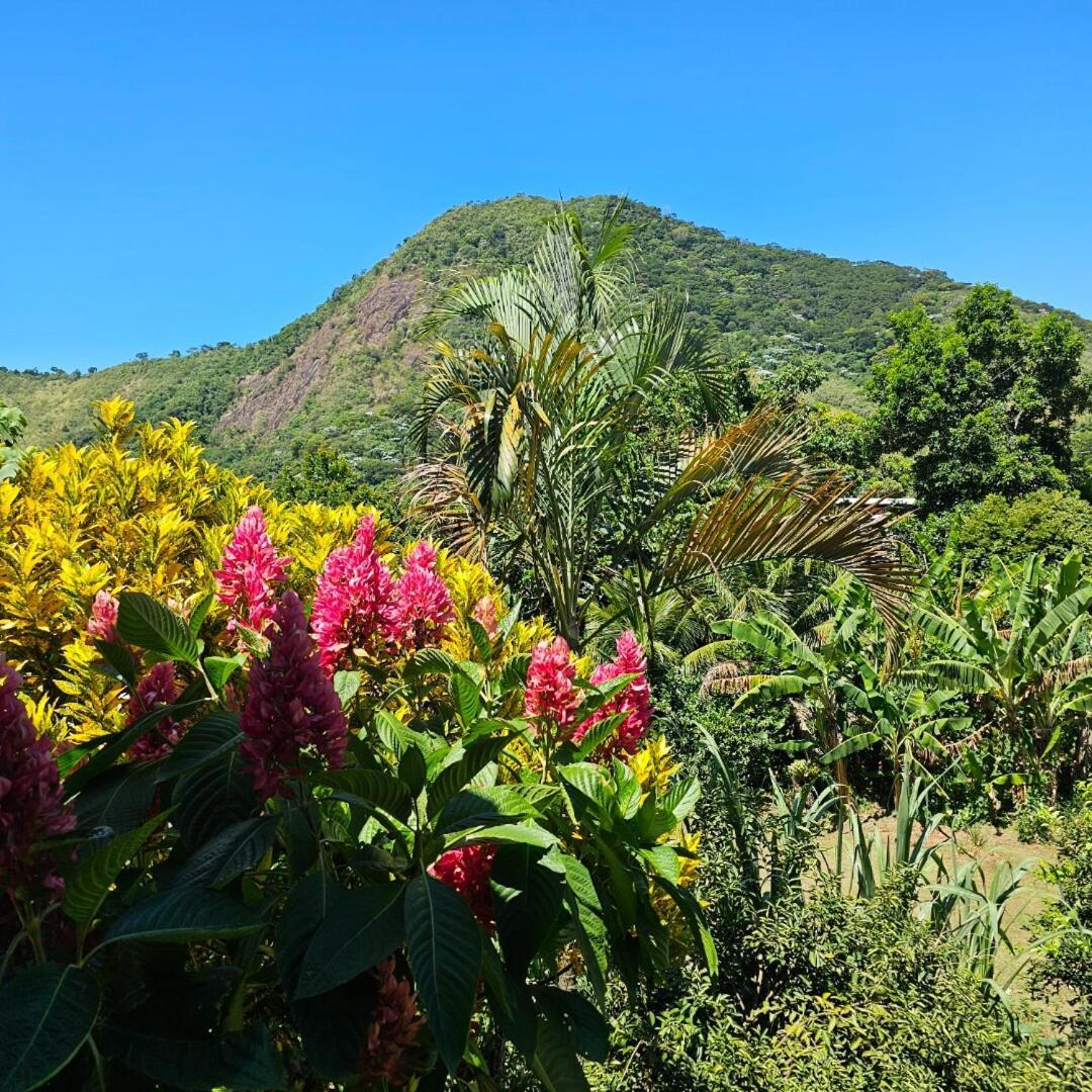Casa Tia Rosa Hospedagem Familiar Guapimirim Luaran gambar